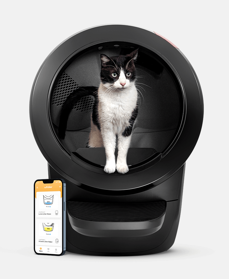 tuxedo cat in Litter-Robot 4