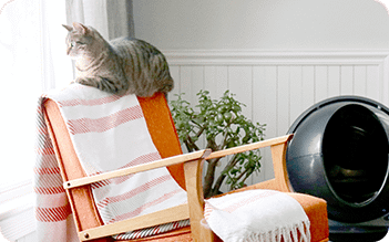 self cleaning litter box safe for cats