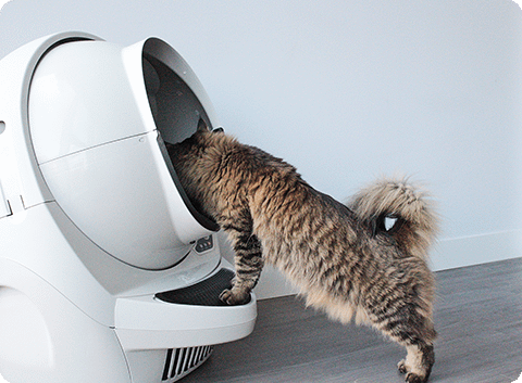 No special accesssories required with Litter-Robot 3 