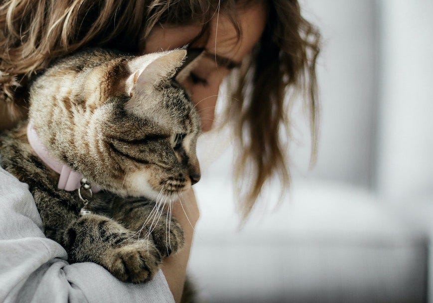 Woman holding tabby cat