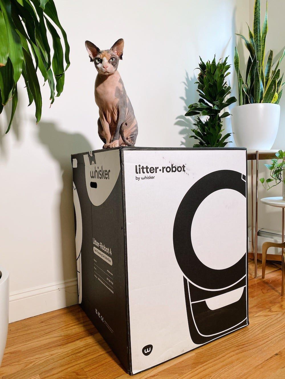 litterbox to litter robot