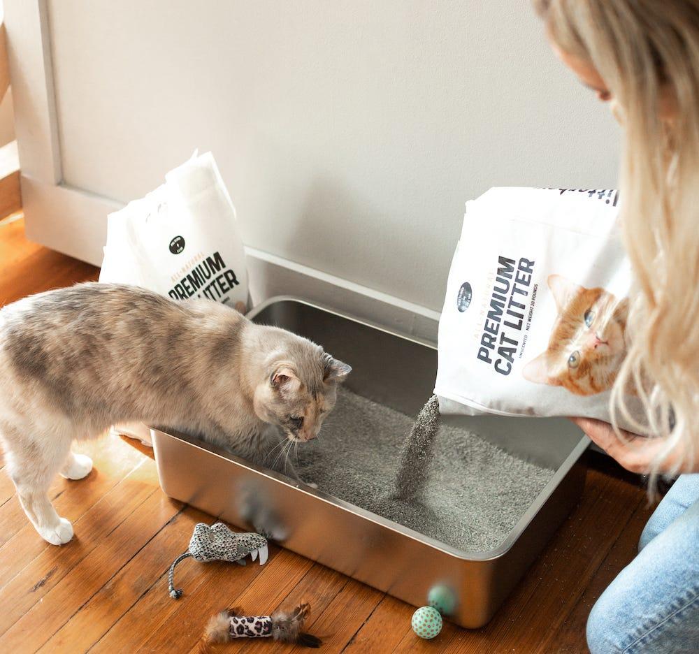 Multi cat litter box hotsell