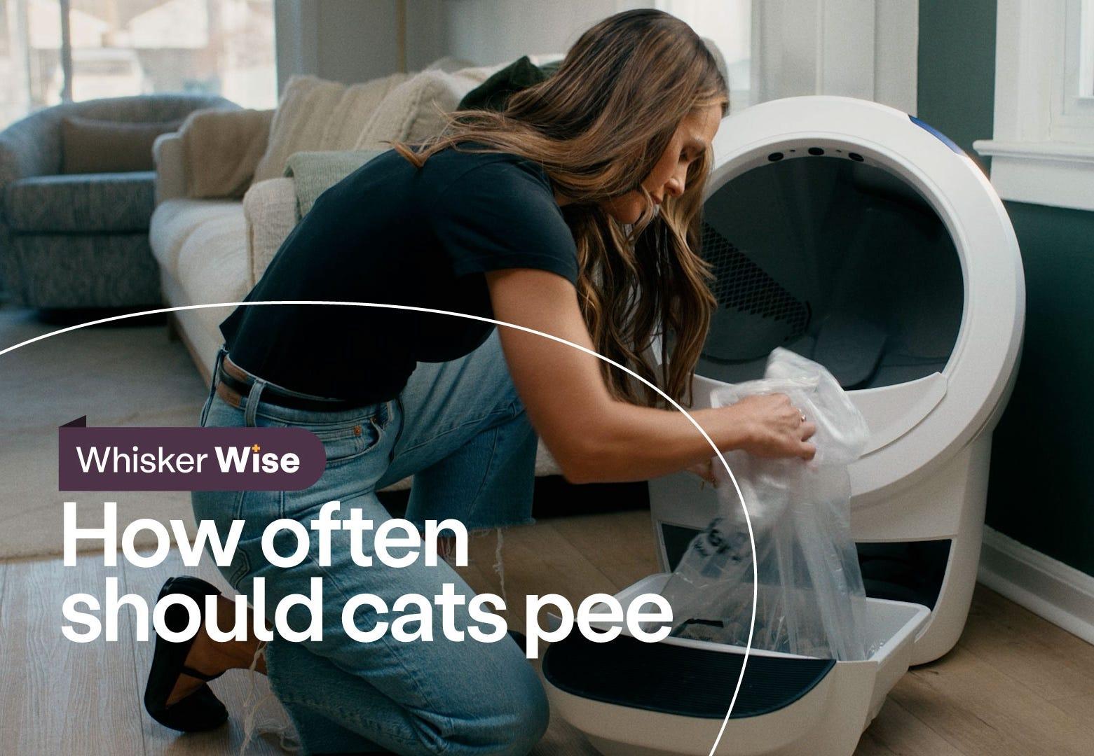 Dr. Anna Foster emptying Litter-Robot waste drawer