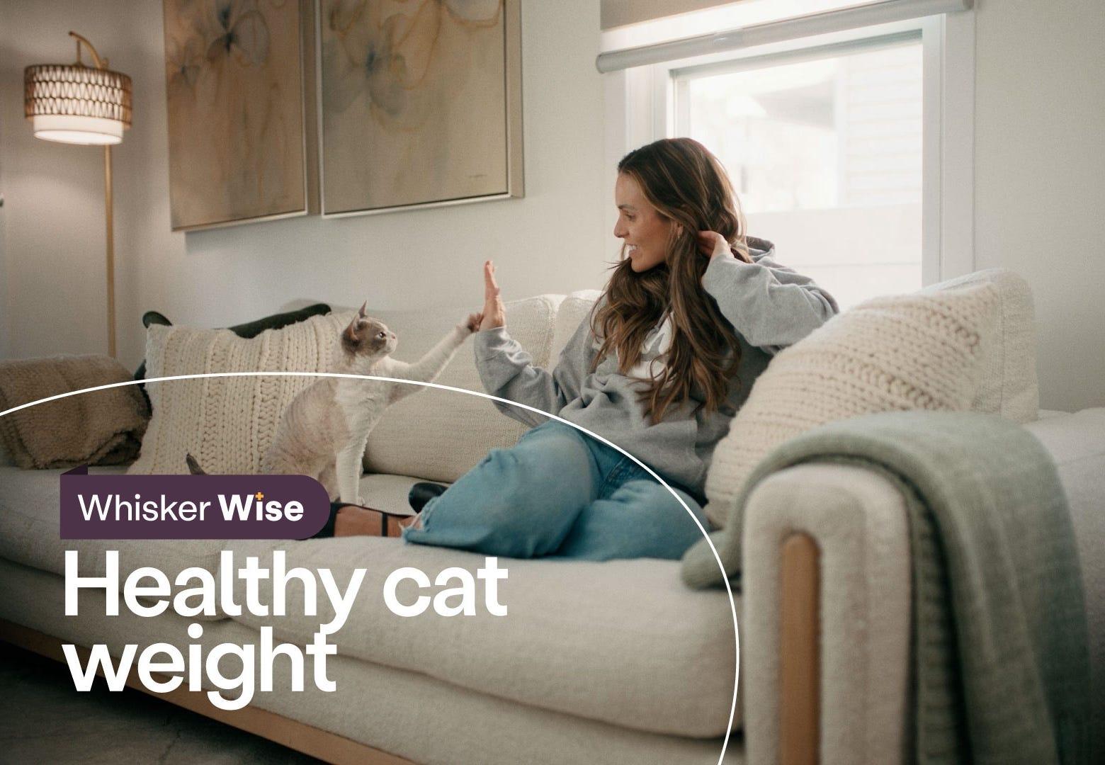 Dr. Anna Foster sitting out couch with Devon Rex cat