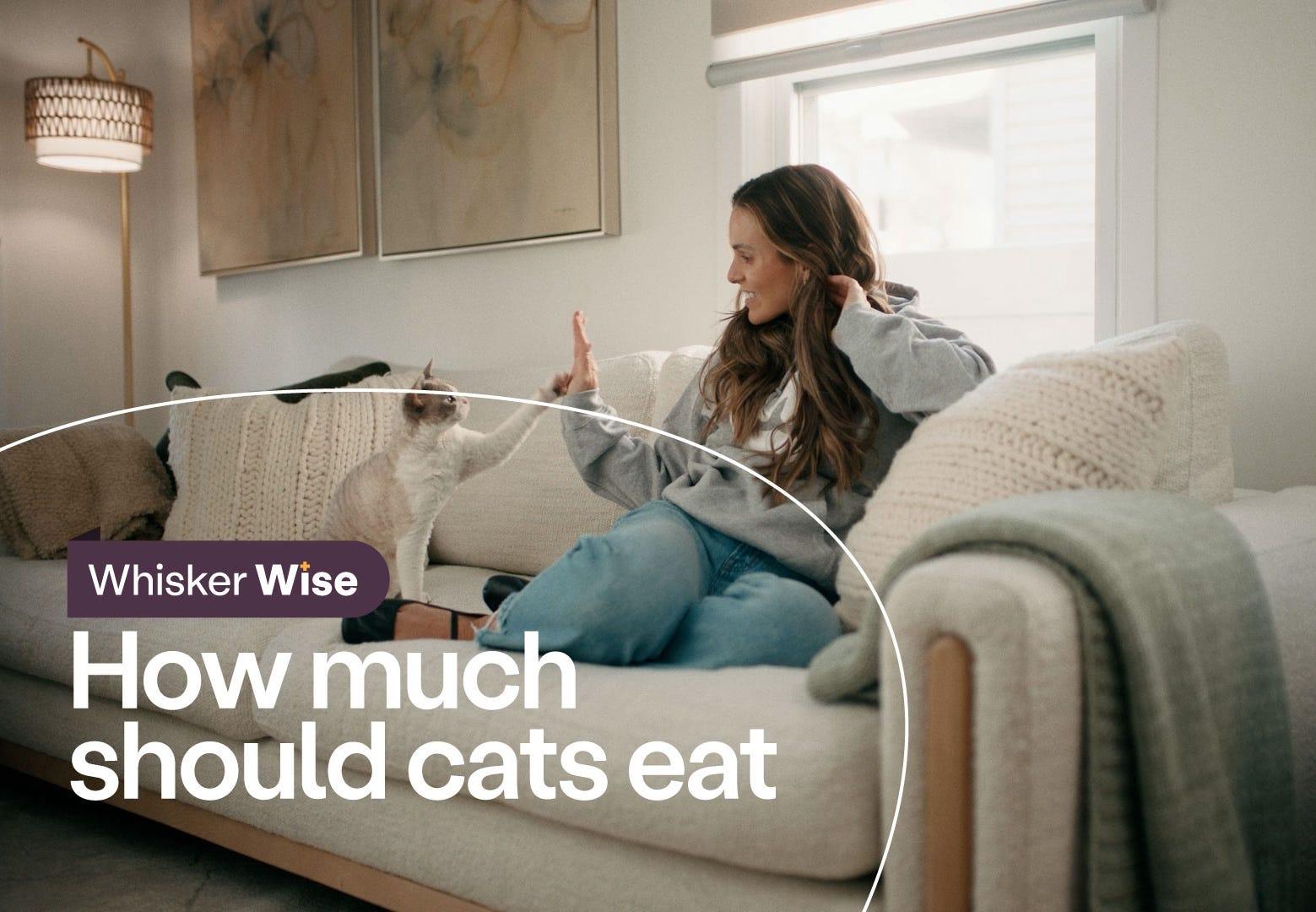 Dr. Anna Foster sitting on couch with Devon Rex cat