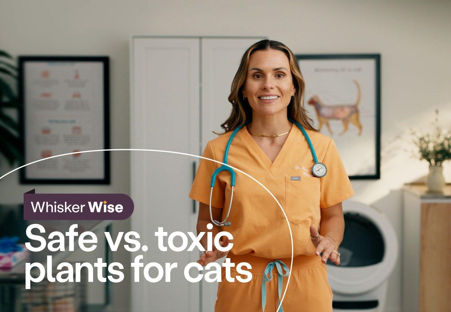 Dr. Anna Foster standing near Litter-Robot