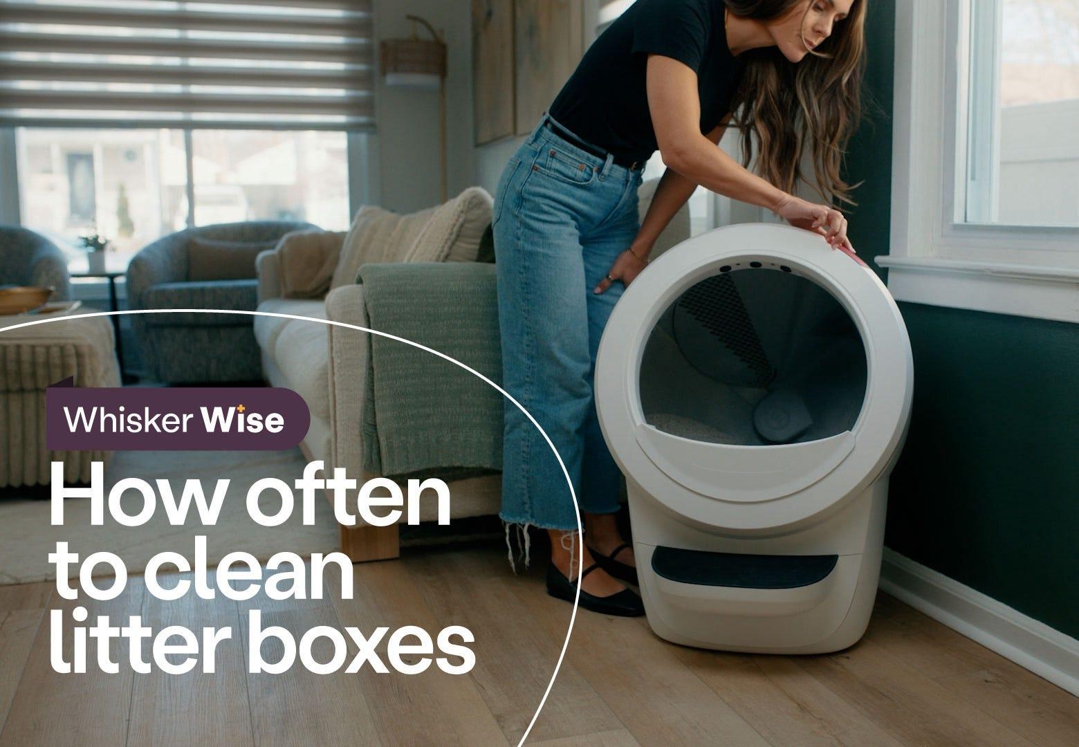 Dr Anna Foster cleaning Litter-Robot