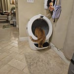 User submitted image for review