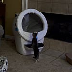 User submitted image for review