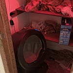 User submitted image for review