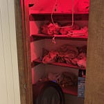 User submitted image for review