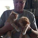 User submitted image for review