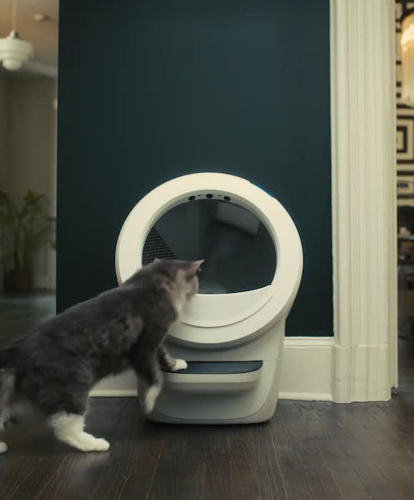 Litter-Robot 4 | The Best Rated Self-Cleaning Litter Box