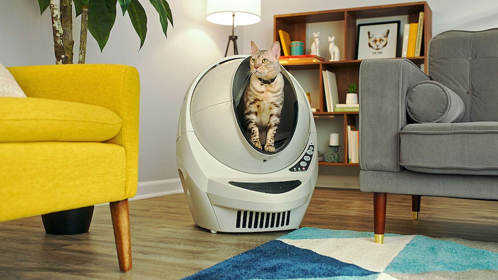 Bengal cat inside Litter-Robot