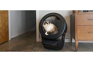 Ragdoll cat inside Litter-Robot 4 