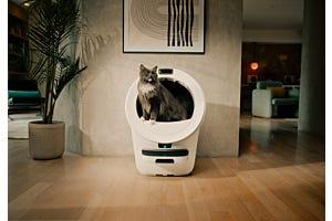 large orange tabby cat using self-cleaning litter box