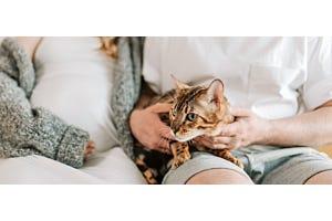 are indoor cats bad for pregnancy