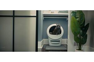 long-haired cat using self-cleaning litter box