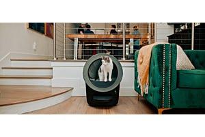 tabby cat using Litter-Robot EVO, a self-cleaning litter box