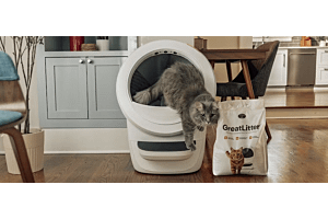 cat in self-cleaning litter box with best litter for Litter-Robot