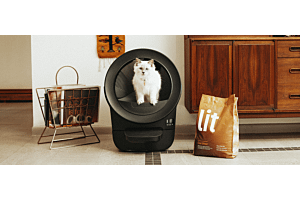 cat in self-cleaning litter box with best litter for Litter-Robot, Lit Premium Cat Litter