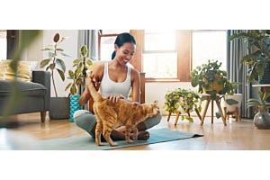 woman on yoga mat with cat and plants