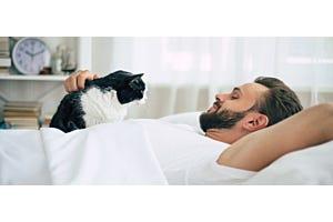 tuxedo cat waking man up in bed