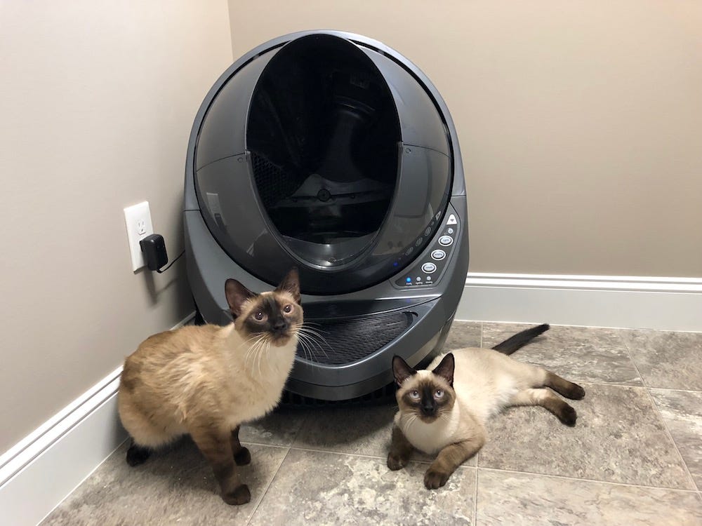 two Siamese cats next to Litter-Robot