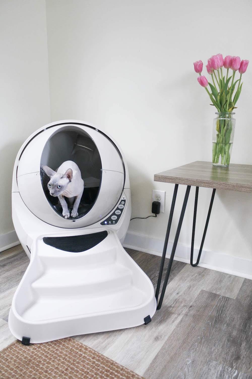 Sphynx cat inside Litter-Robot