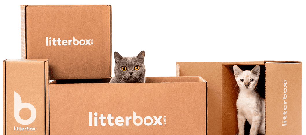 Shop All Products Litterbox Litterbox