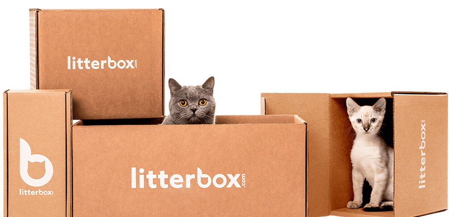 Shop All Products Litterbox Litterbox