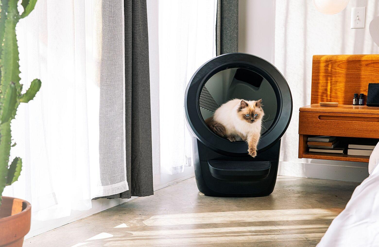 Litter Robot 4 The Smartest Self Cleaning Litter Box