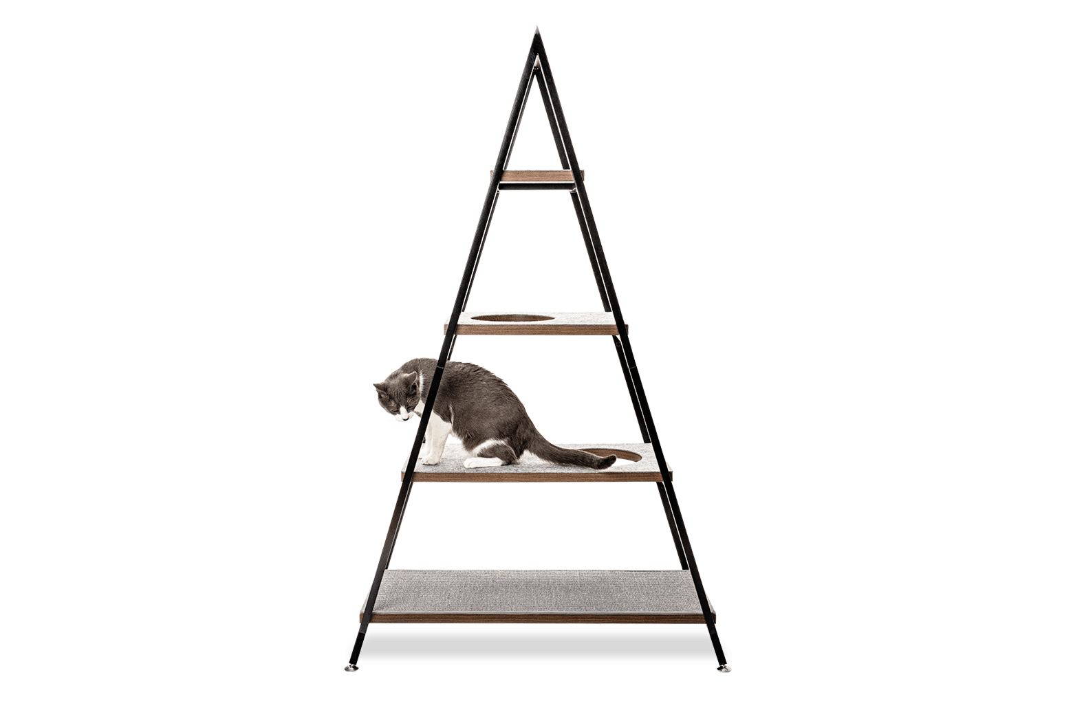 Grey cat sitting on second platform of cat pyramid