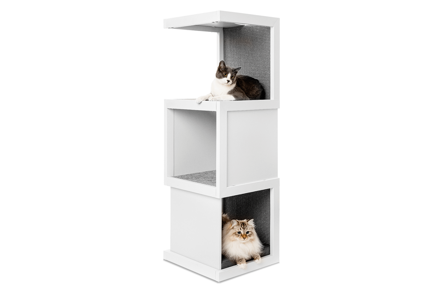 Cat Tower