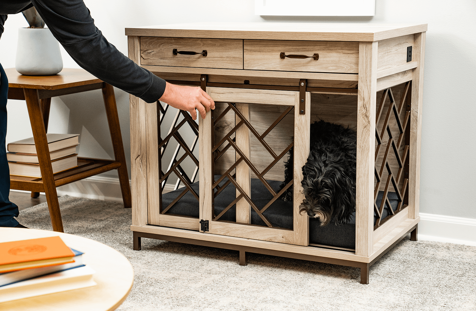 Barn door pet crate shop