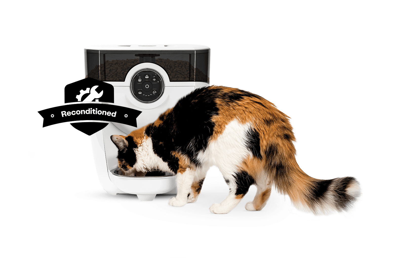 Feeder-Robot Reconditioned with cat