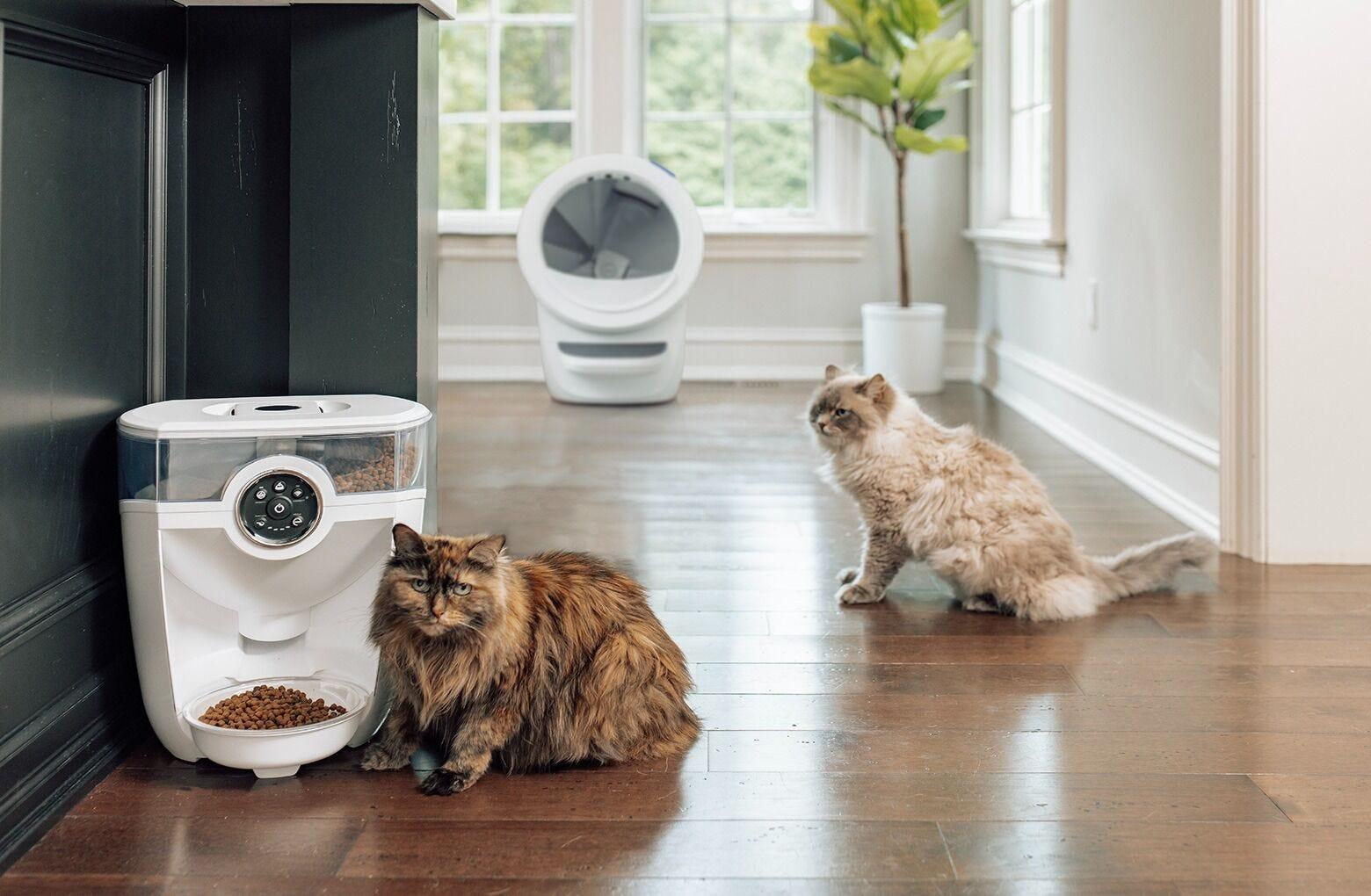 Robotic cat feeder online
