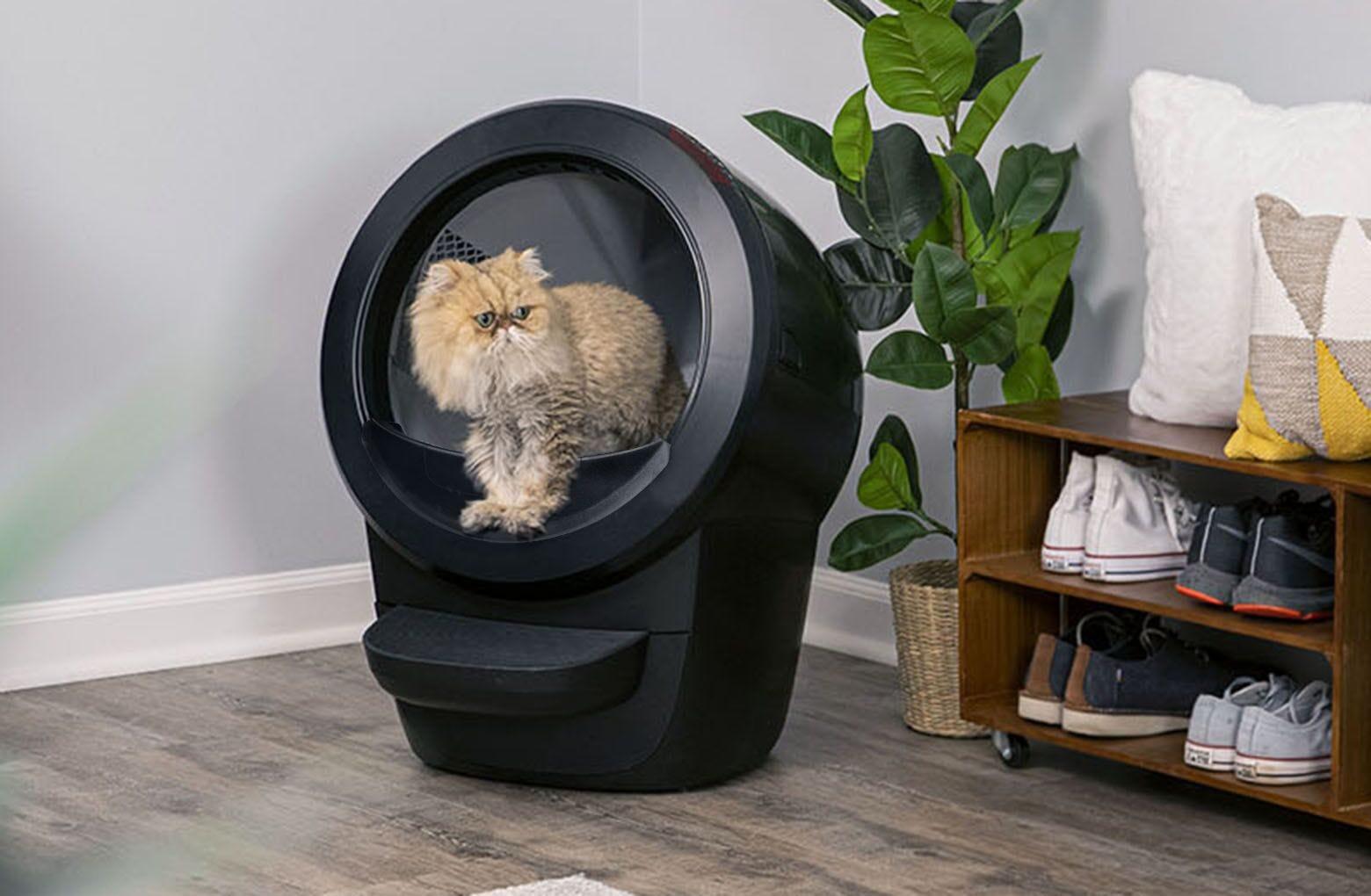 Litter Robot 4 Basics Bundle