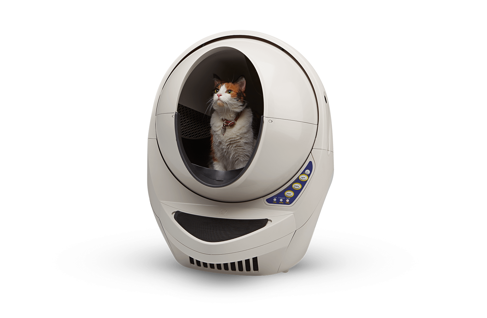 Cat litter for litter robot best sale