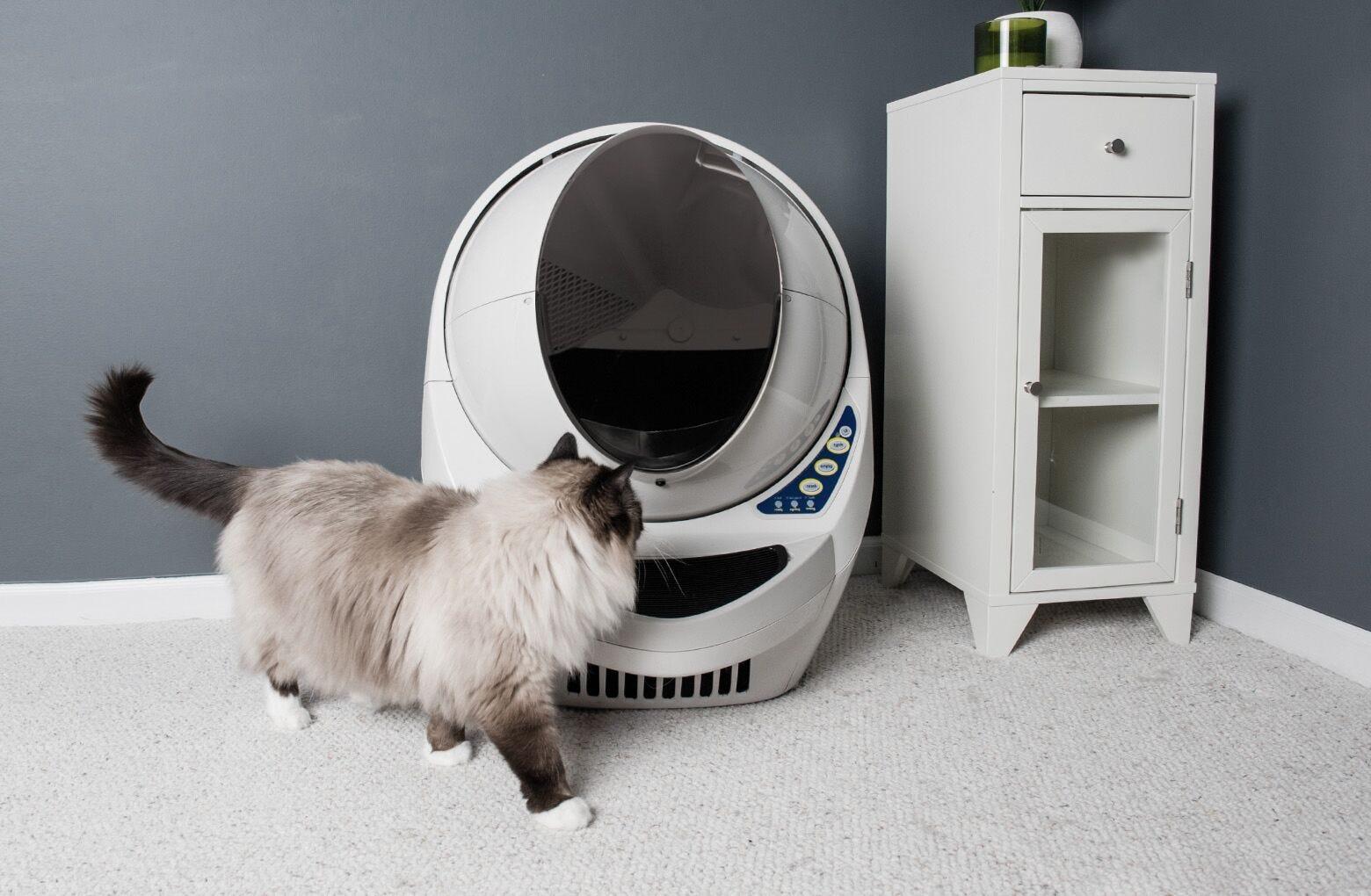 Litter Robot 3 Reconditioned Self Cleaning Litter Box