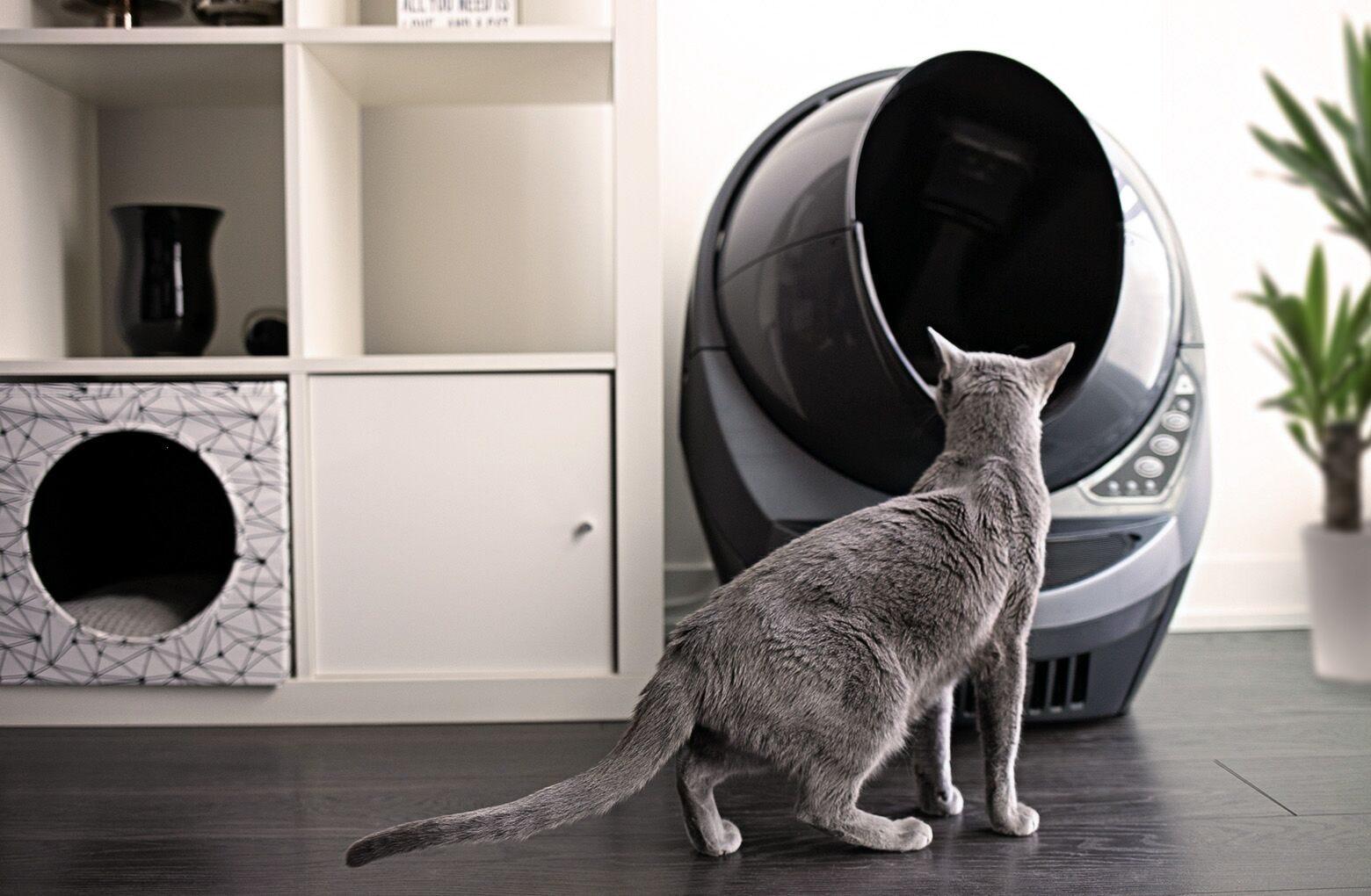 Litter Robot 3 Connect Reconditioned Self Cleaning Litter Box