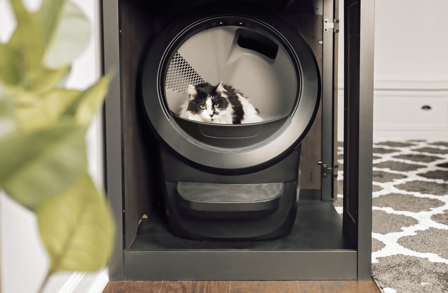 Litter Robot 4 Storage Cabinet Bundle Litter Box Furniture