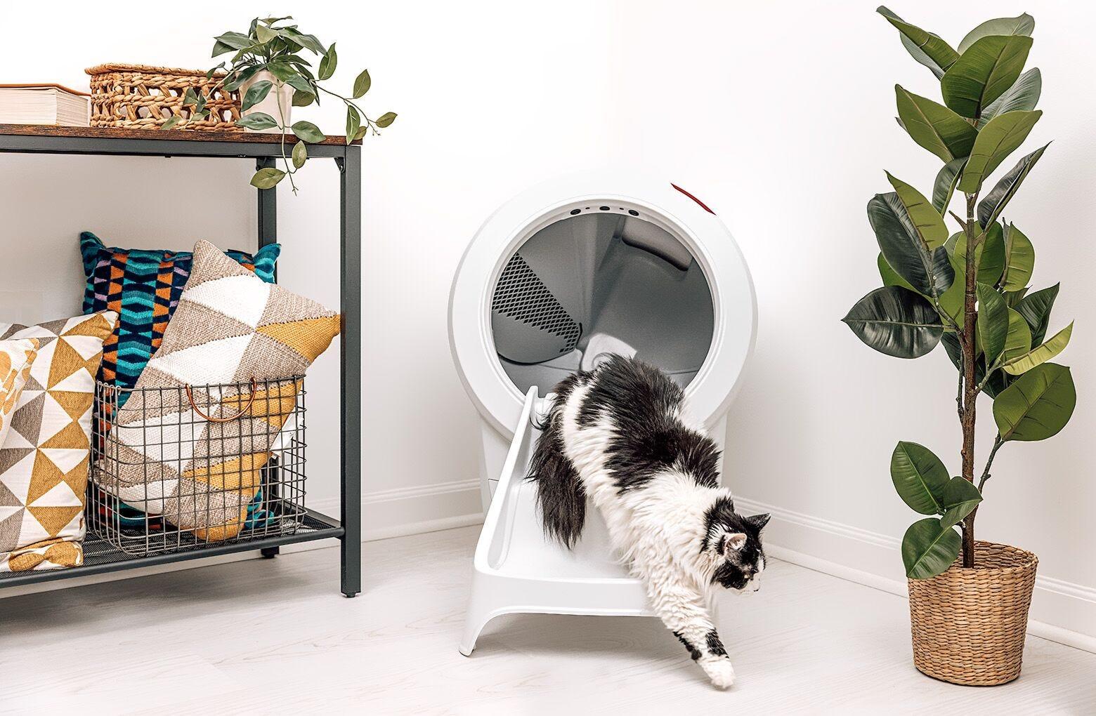 Litter Robot 4 Ramp Reconditioned at a Lower Price