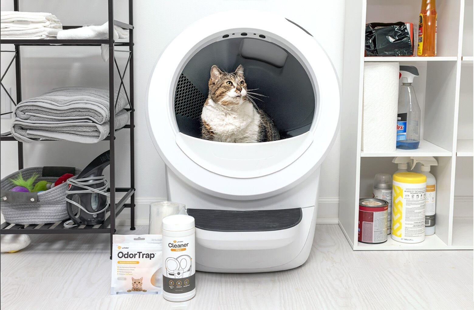 Litter robot reconditioned new arrivals
