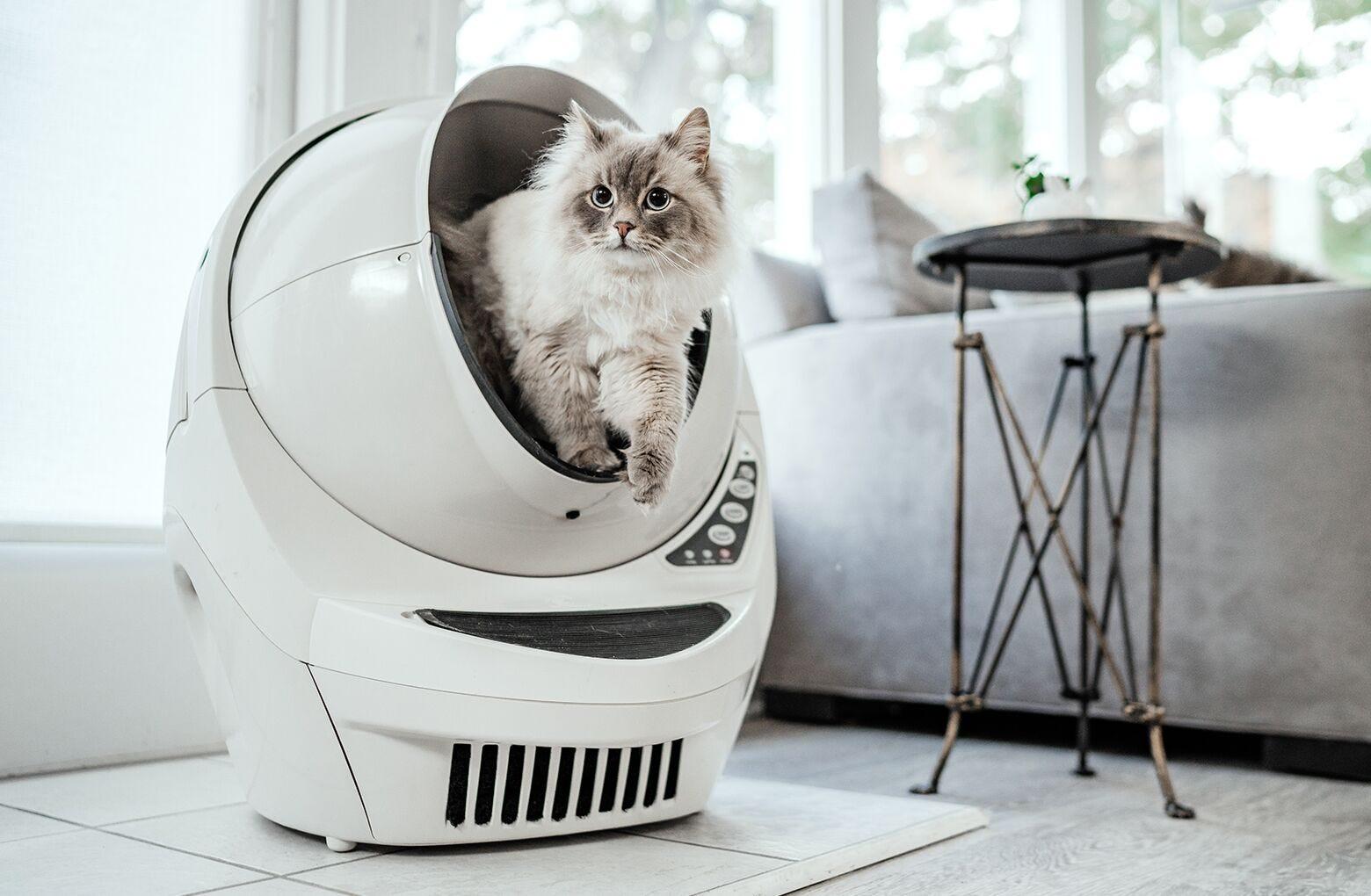 Litter robot faq clearance