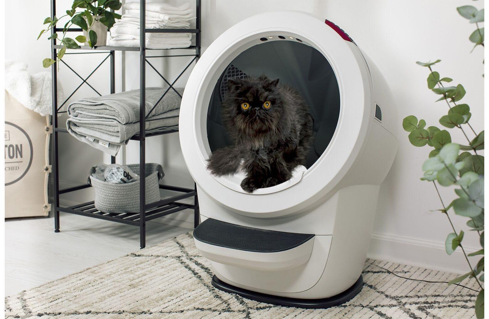 Cat litter box on carpet sales