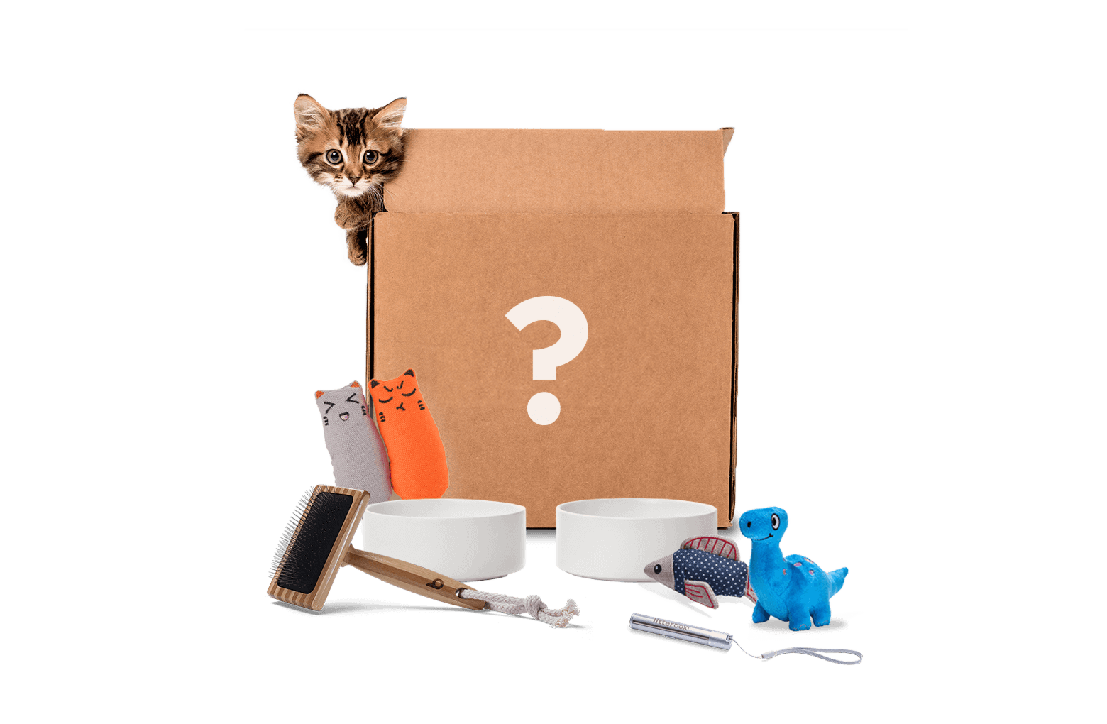 Cat mystery box top