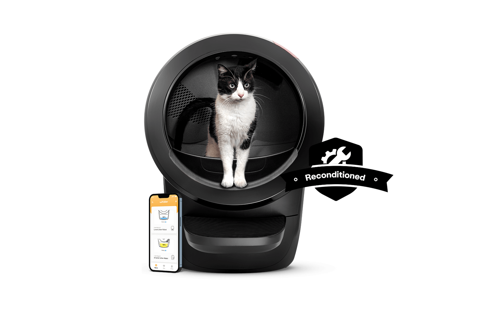 Litter Robot 4 Reconditioned Save Money on Litter Robot