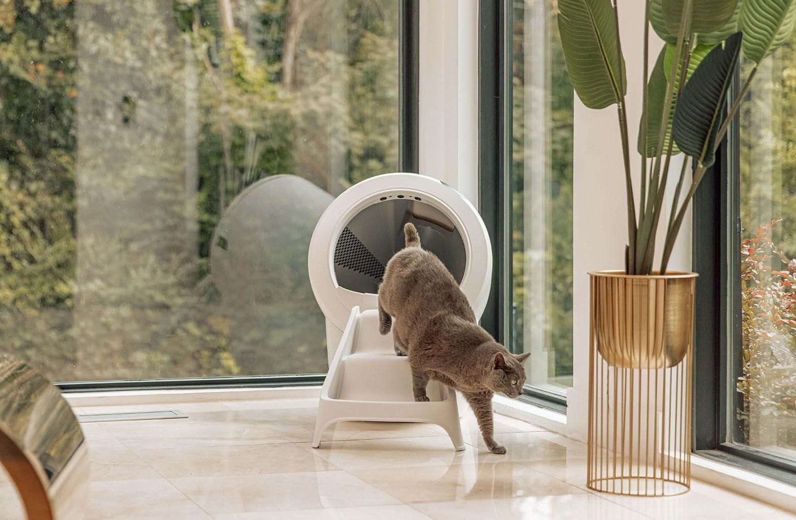 Litter box ramp outlet