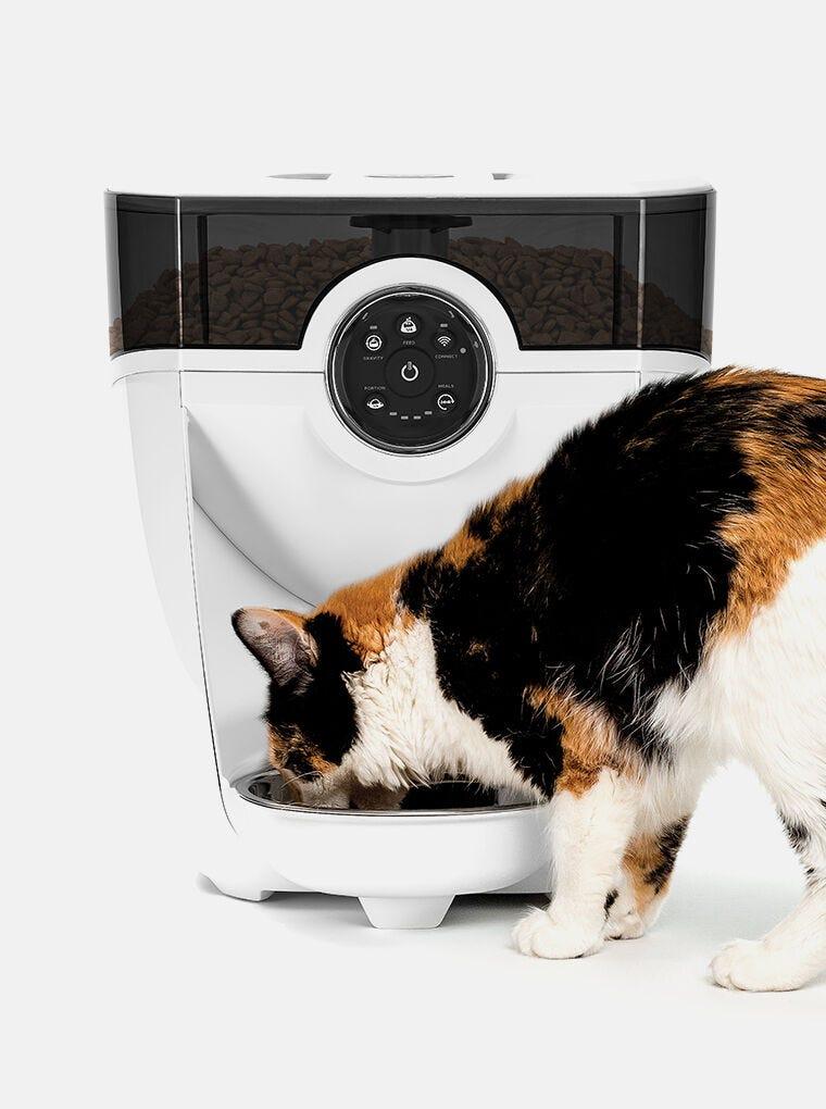 Litter robot offline 2025